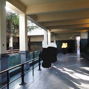 Visitor area in the hippopotamus house, 2019