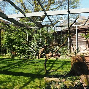 Mixed aviary next to and on top of the hippopotamus house, 2019-04-20