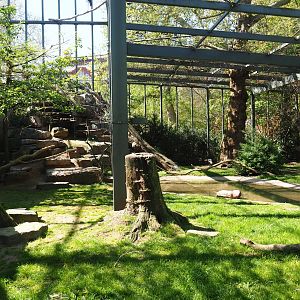 Mixed aviary next to and on top of the hippopotamus house, 2019-04-20