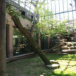 Mixed aviary next to and on top of the hippopotamus house, 2019-04-20