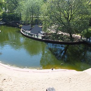 Hippopotamus exhibit, 2019-04-20