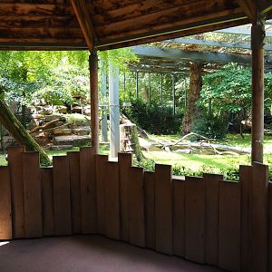Mixed aviary next to and on top of the hippopotamus house, ground level viewing area -  2019
