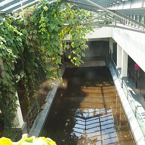 Hippopotamus indoor housing - View from above, 2019