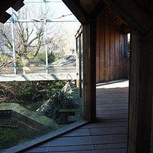 Mixed aviary next to and on top of the hippopotamus house, top level viewing area -  2019