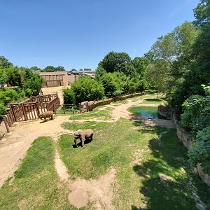 Jun. 2019 - Elephant Trails