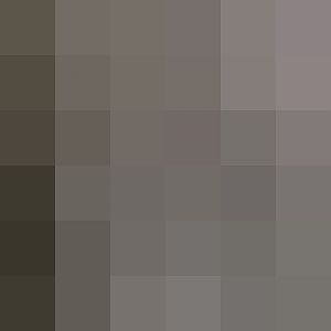 Howler monkeys in the trees