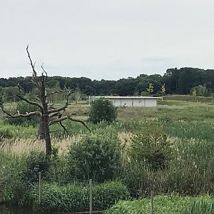 Building over the river