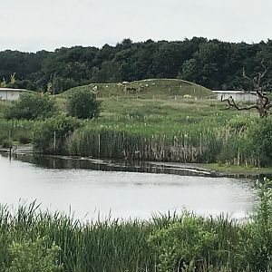 Work across the river