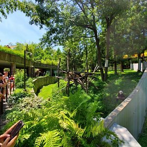 Jun. 2019 - Asia Trail - Middle Giant Panda Exhibit