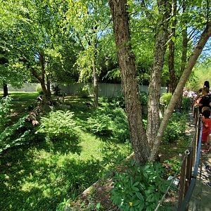 Jun. 2019 - Asia Trail - Right Giant Panda Exhibit