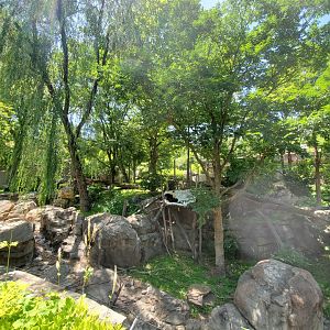 Jun. 2019 - Asia Trail - Left/Main Giant Panda Exhibit