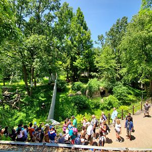 Jun. 2019 - Asia Trail - Giant Panda Overlook