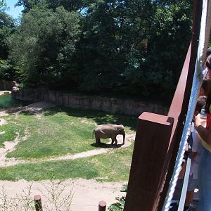 Jun. 2019 - Elephant Trails