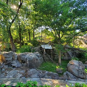 Jun. 2019 - Asia Trail - Main/Left Giant Panda Exhibit