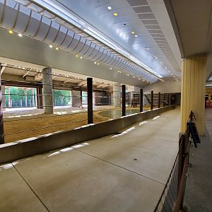 Jun. 2019 - Elephant Trails - Elephant Community Center