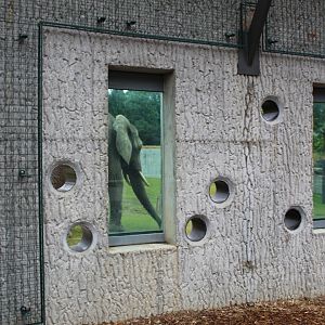 Adventure Africa - Elephant by the Glass