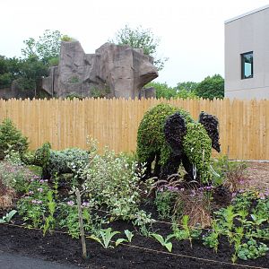 Adventure Africa - Elephant Topiary