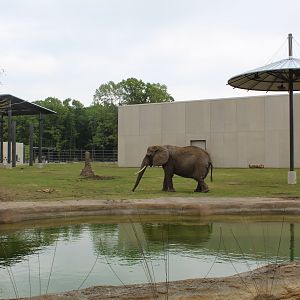 Adventure Africa - Elephant Yard