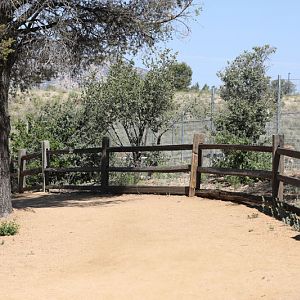 new path for new deer exhibits