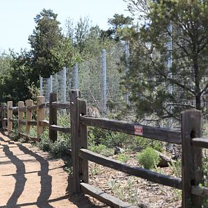 new path to new deer exhibits