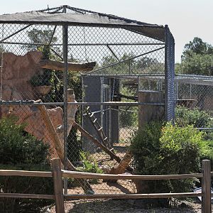 clouded leopard exhibit (expanded)