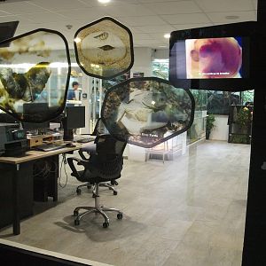 research & preparation area