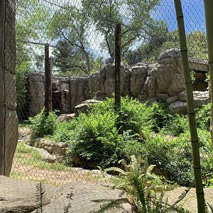 Recently renovated jaguar exhibit