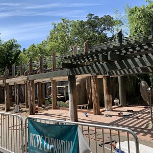 Lion exhibit renovations