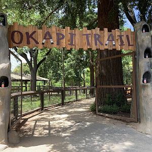 New okapi exhibit entrance sign: "Okapi Trail"