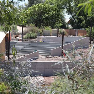 upcoming wildlife amphitheater