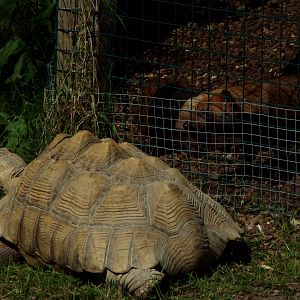 Interesting Interaction Axe Valley