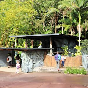 Binturong Enclosure