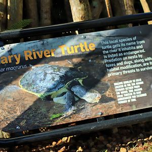 Style of New Signage