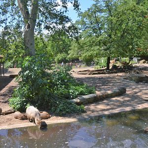 Tapir, Capybara, Guanaco, Rhea, and Waterfowl Enclosure at Krefeld, 15/06/19