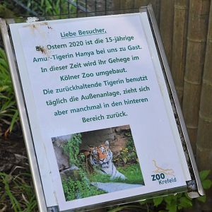 Explanatory Tiger Signage at Krefeld, 15/06/19