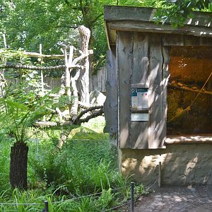 Goodfellow's Tree Kangaroo Enclosure at Krefeld, 15/06/19