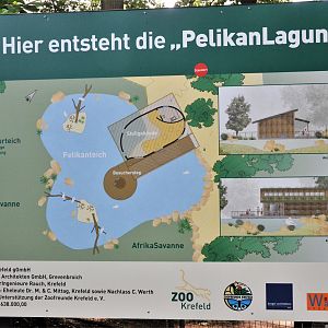 Pelican Lagoon Plans at Krefeld, 15/06/19