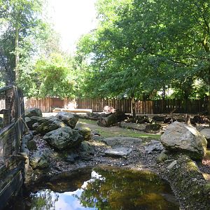 Musk Ox Enclosure adjoining Snowy Owl Aviary at Krefeld, 15/06/19