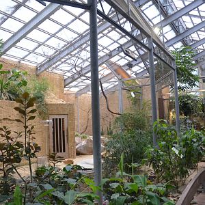 Bird House Interior at Krefeld, 15/06/19