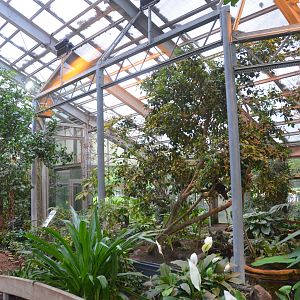 Bird House Interior at Krefeld, 15/06/19