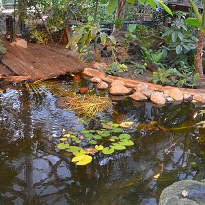 Bird House Interior at Krefeld, 15/06/19