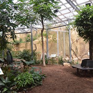 Bird House Interior at Krefeld, 15/06/19