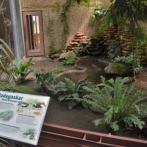 Bird House Interior at Krefeld, 15/06/19