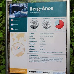 Signage Example at Krefeld, 15/06/19