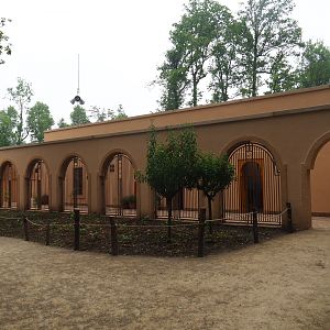 New Barbary macaque exhibit - Moroccan pavilion, 2019-06-26