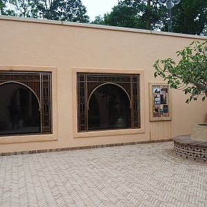 New Barbary macaque exhibit - Indoor exhibit viewing area, 2019-06-26