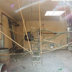 New Barbary macaque exhibit - Indoor exhibit, 2019-06-26