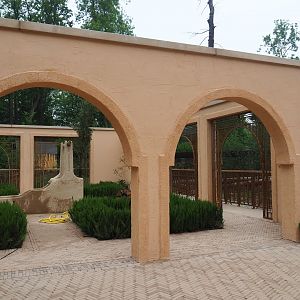 New Barbary macaque exhibit - Moroccan garden, 2019-06-26