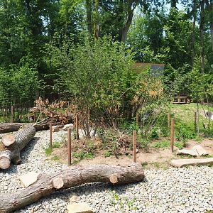 New Barbary macaque exhibit - Outdoor exhibit, 2019-06-26