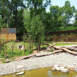 New Barbary macaque exhibit - Outdoor exhibit, 2019-06-26